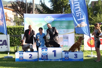 International Dog Show Frosinone