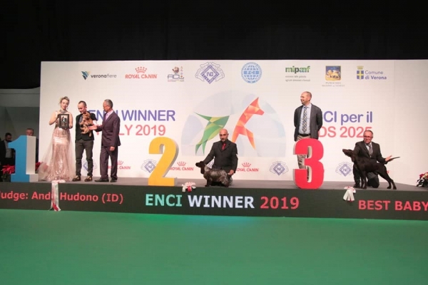 Soddisfazioni al ENCI winner 2019