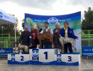 National Dog Show Rieti