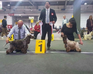 International  Dog Show Lussemburgo