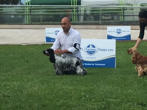 Soddisfazioni al International Dog show Rieti