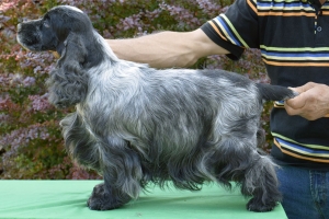Francini&#039;s Diana