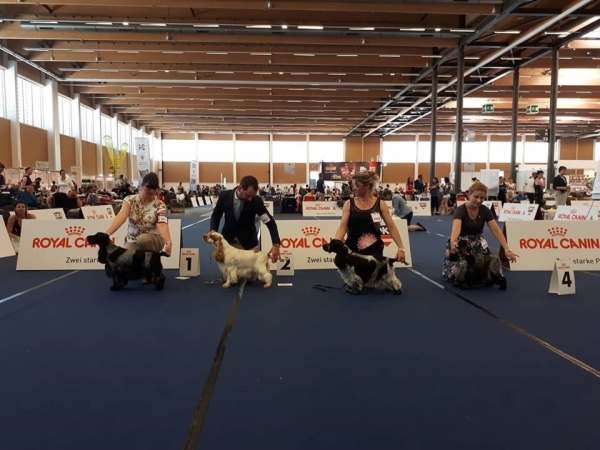 Falacrina Letty Ortiz al European DOG Show 2019