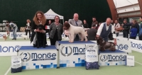 Vittoria al National dog show Aquila