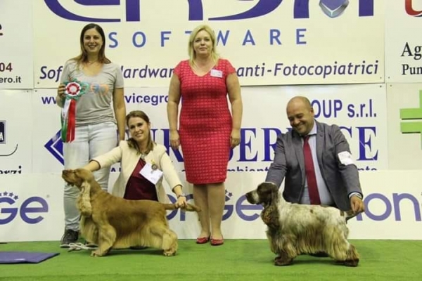 Nuovo successo al SPANIEL CLUB SHOW di Messina