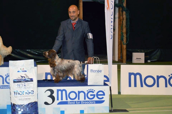 National Dog Show L&#039;Aquila