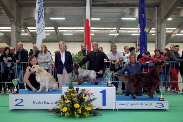 National Dog Show Macerata